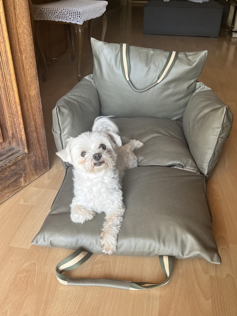 Chien profitant de son siège-couchage polyvalent