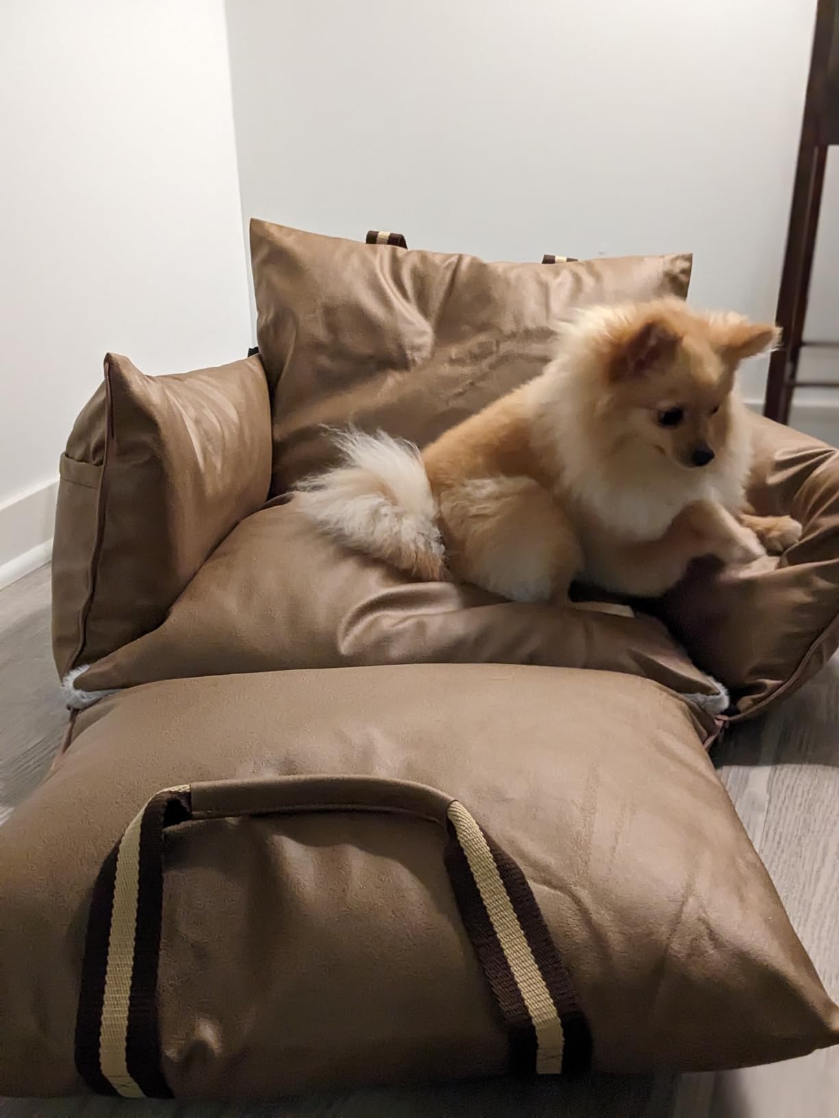 Petit chien confortablement installé dans son siège de voyage